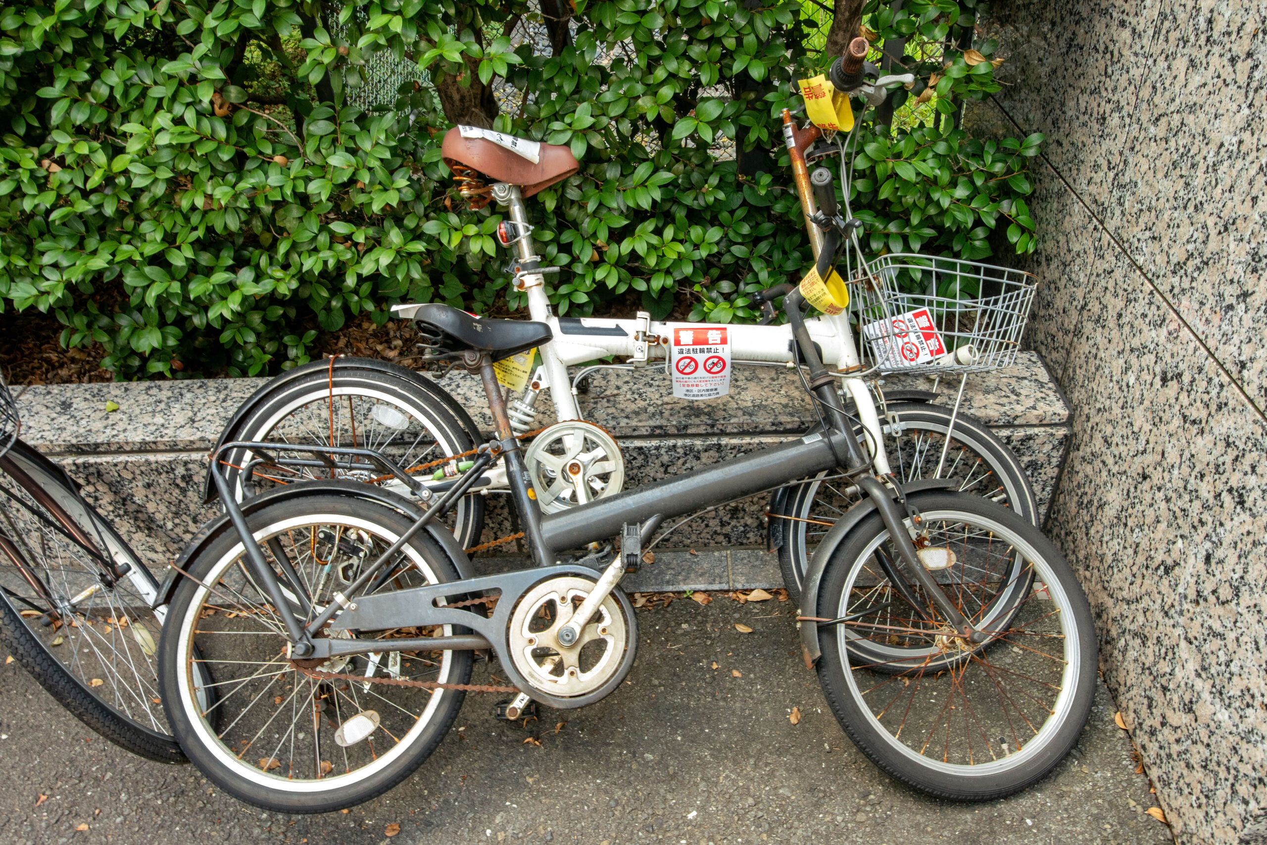 不用品回収・片付け